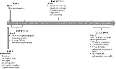 Effects of Circadian Phase Tailored Light Therapy on Sleep, Mood, and Cognition in Alzheimer’s Disease: Preliminary Findings in a Pivotal Study